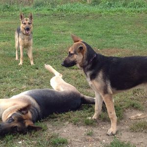 Meet your Posher, Connie